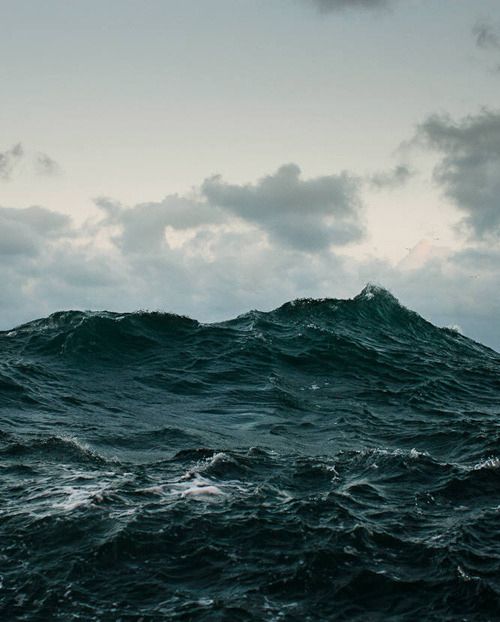 Bears.  An insight into an effective escape.